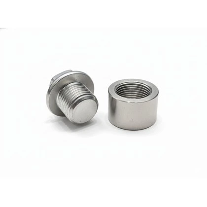 Sensor & Adaptor — Bung + Plug Sensor O2 · Stainless