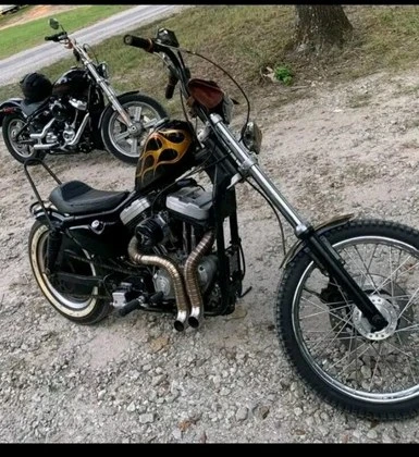 Sportster — LAF 2 Inch — Mid Control · Silver — foto 5