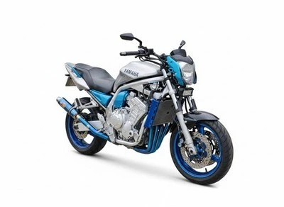 Yamaha FZ1 / Fazer — CH-1 · Blue Gold — foto 4