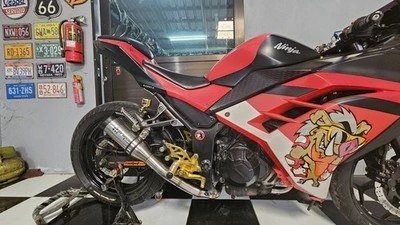 Kawasaki Ninja 300 / Z300 — CH-1 · Silver