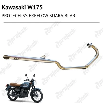 Kawasaki W175 — Freeflow · Silver