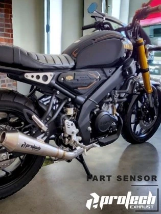 Yamaha XSR155 — Big Pro · Silver — foto 2