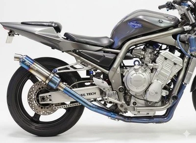 Yamaha FZ1 / Fazer — CH-1 · Blue Gold — foto 2